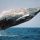 humpback