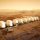 marsone2