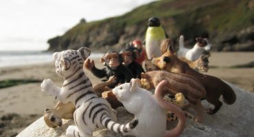 Family holidays: the recipe for success