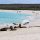 Galapagos Sea Lions