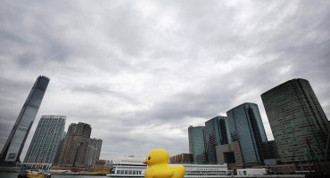 Florentijn Hofman’s giant duck arrives in HK