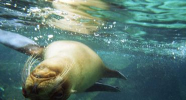 Life-changing holidays: for the kids