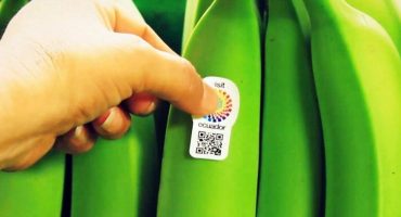 Ecuador and the case for banana tourism