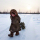 tpoty-russia