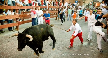 Pamplona-style bull runs to head to USA