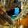 grotto