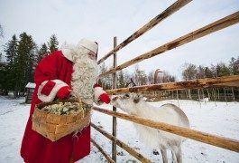 Finland: a Christmas adventure (not just for kids)