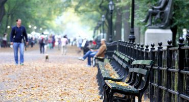 Woody Allen’s New York City