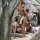 himba1