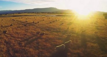 VIDEO: Australia from a bird’s eye view