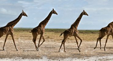 Travel to learn photography… learn photography to travel