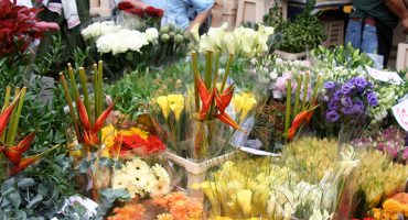 Blooming good: Top 7 flower markets