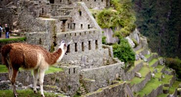 Incredible Machu Picchu