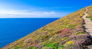 Discover the art of “microadventures”