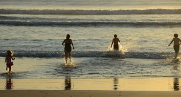 Is this the recipe for perfect holiday success?