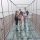 china-bridge