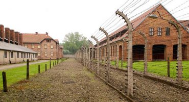 Auschwitz visitor number growth prompts pre-booking