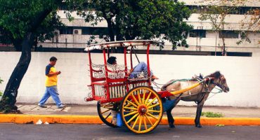 Puerto Rico bans horse-drawn carriages from the capital