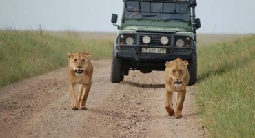 Tanzania uses drones to keep poachers out
