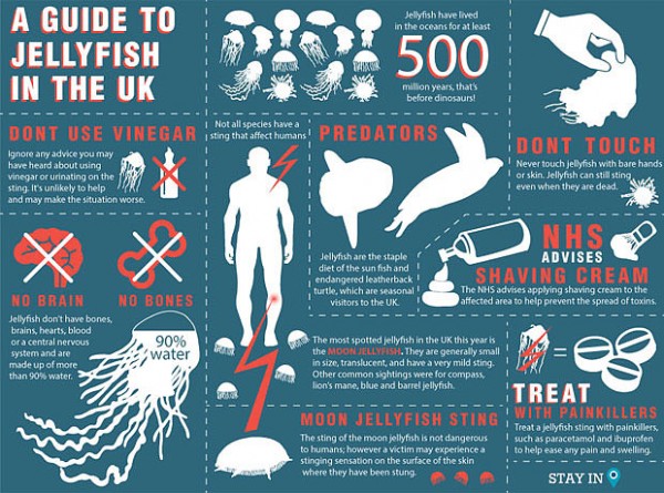 Beach Bummer What To Do If A Jellyfish Stings The Traveller S Magazine Beach Bummer What To Do If A Jellyfish Stings The Traveller S Magazine