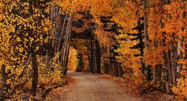 Top 7 places to experience autumn colours