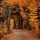 fall-colours