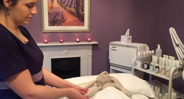 Stuffed bunny enjoys the VIP treatment when little girl leaves it at an Irish hotel