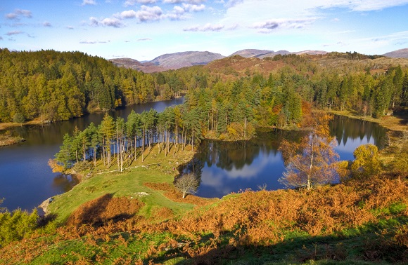 Tarn Hows in the Lake District