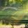 Bench forest overlooking river