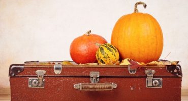 Infographic: Which Foods Can You Take Through Airport Security?