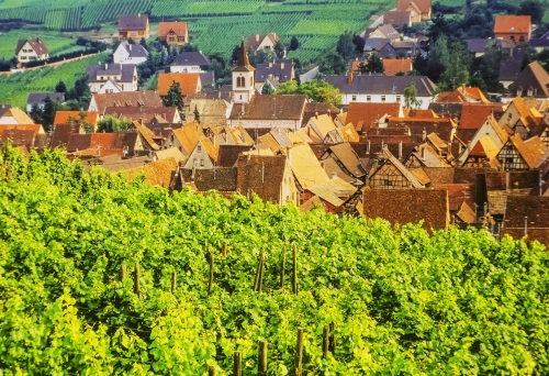 Alsace wine region in France