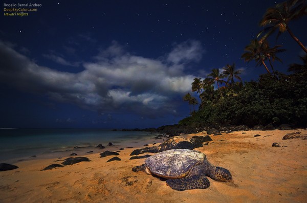 hawaii-nights1