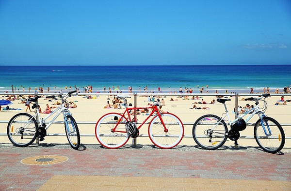 bondi